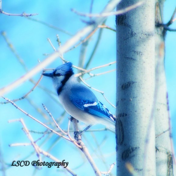 Check Out Vintage Items @ Stuff_n_Things  __ - Picture 6 of 7